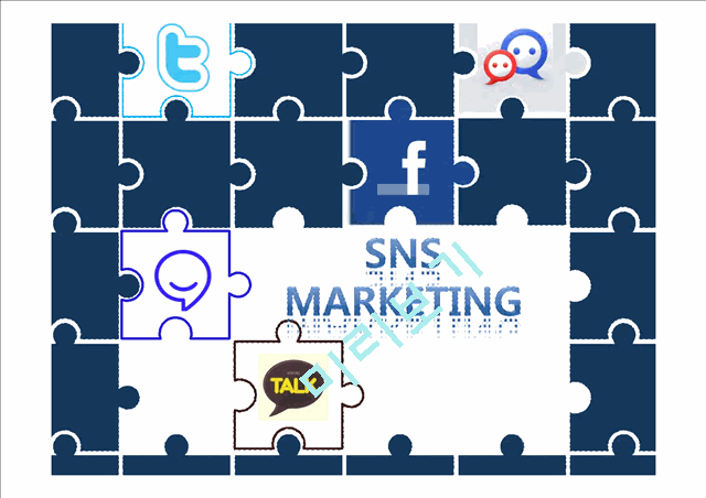 SNS MARKETING   (1 )